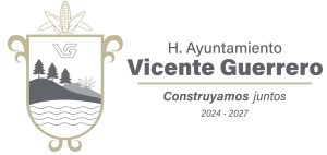 Logo Vicente guerrero ok